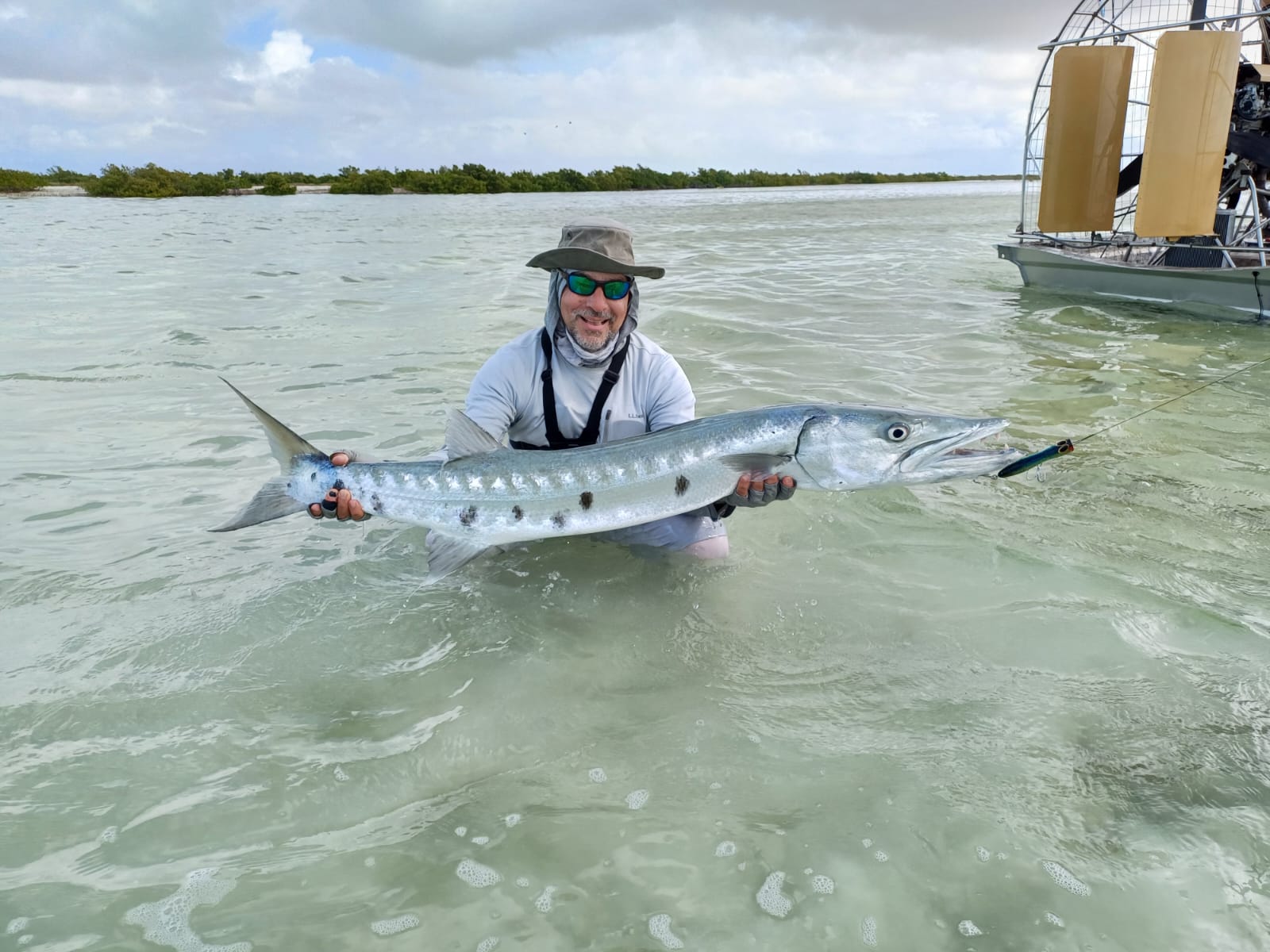 Bob Risica with a stunning 35lb Barracuda, Southern Bush Bay, May 5th 2024